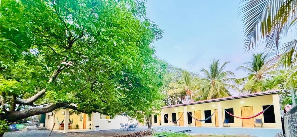 Hostal Camila'S Tamanique المظهر الخارجي الصورة